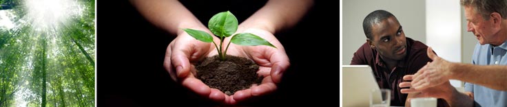 Clear Change Group Business Coaching